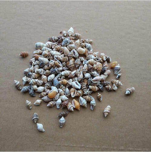 50pcs/Lot 0.9-1.3 cm Small Miscellaneous Conch Home toysDecoration Material Natural Craft Seashell Aquarium Fish Tank Landscape